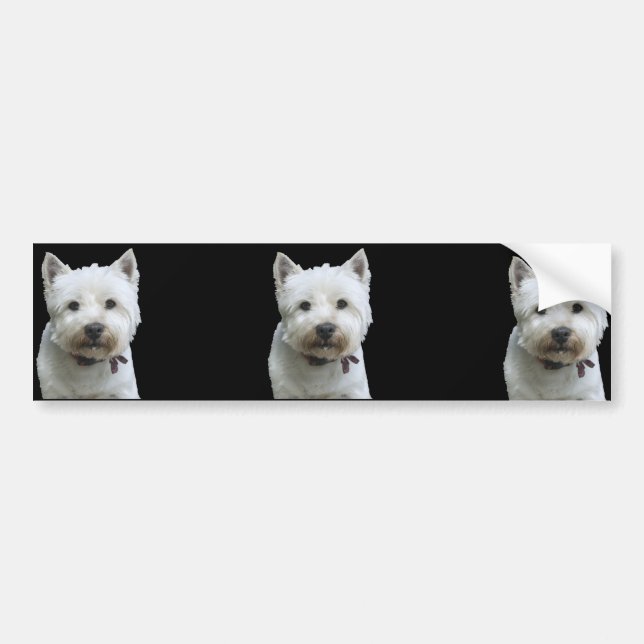 Adesivo Para Carro Montanhas ocidentais Terrier (Frente)