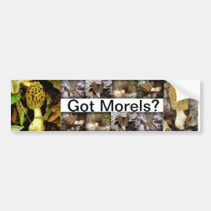 Adesivo Para Carro Morels obtidos? Autocolante no vidro traseiro dos