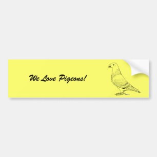 Adesivo Para Carro Mostrar estrutura de tópicos do Racer