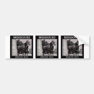 Adesivo Para Carro Mula de Missouri
