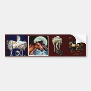 Adesivo Para Carro Multiadesivos 9 Conjunto EQUINE
