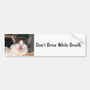 Adesivo Para Carro Não conduza bebado Engraçado Gato Bumper Sticker