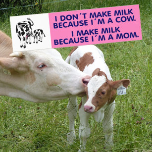 Adesivo Para Carro Não faço leite porque sou vaca, Vegan