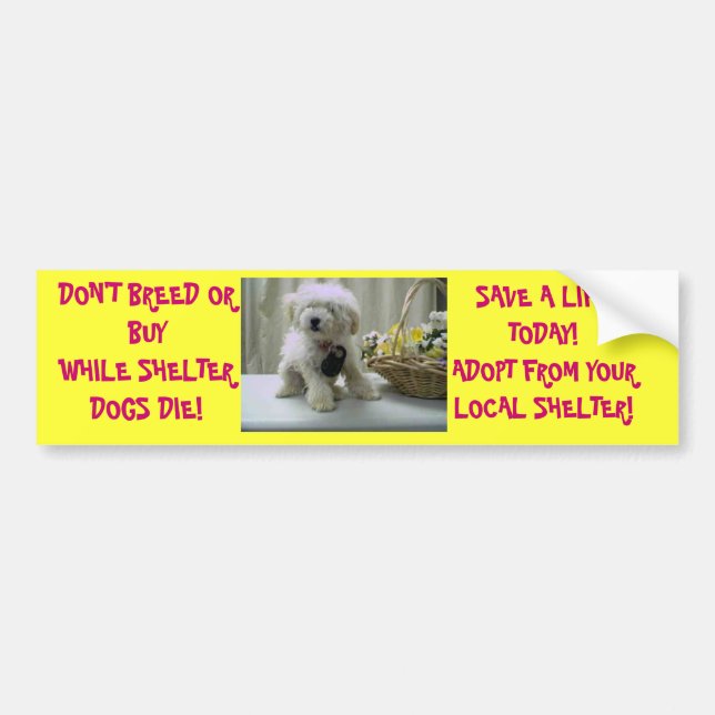 ADESIVO PARA CARRO NÃO PRODUZA NEM NÃO COMPRE! ADOTE (Frente)