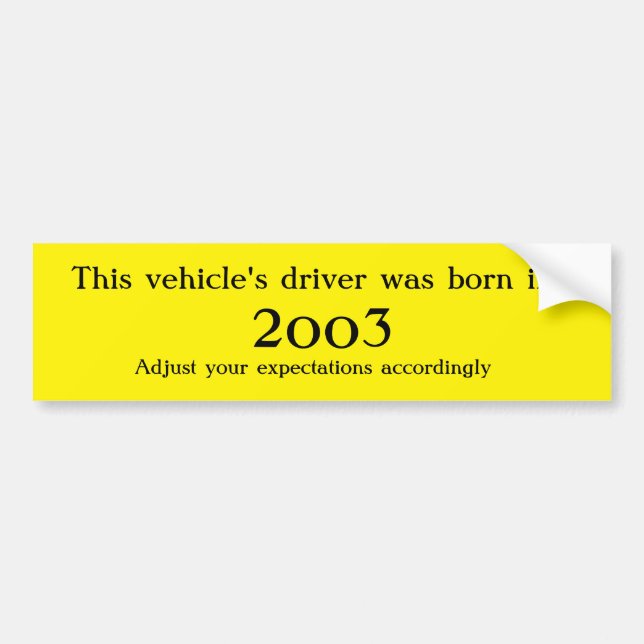 Adesivo Para Carro Nascer do driver em ____ Ajuste suas expectativas (Frente)
