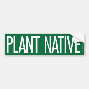 ADESIVO PARA CARRO NATIVO DA PLANTA (G)