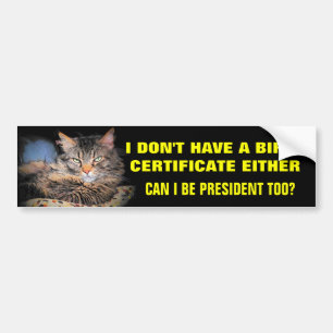 Adesivo Para Carro Nenhuma certidão de nascimento? Eleja-me!