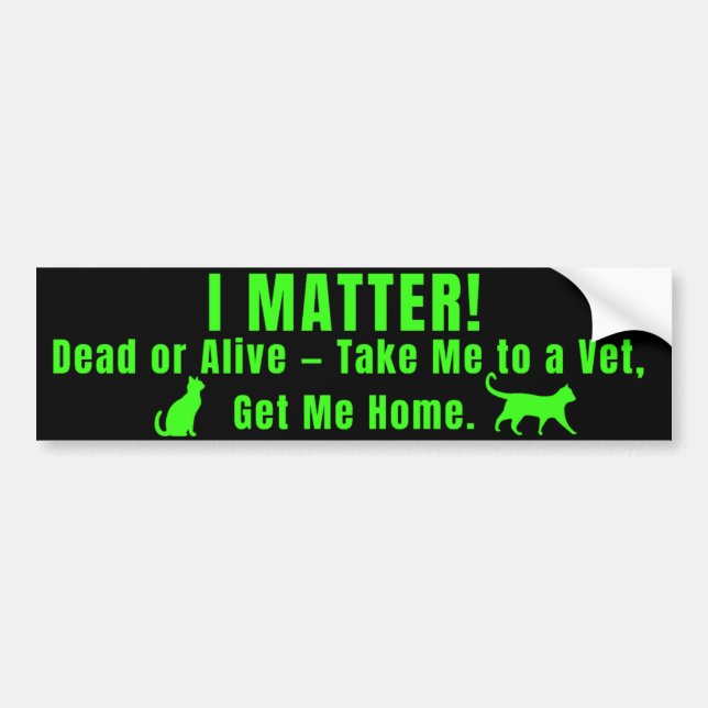 Adesivo Para Carro Neon Green "I Matter" Bumper Sticker (Frente)