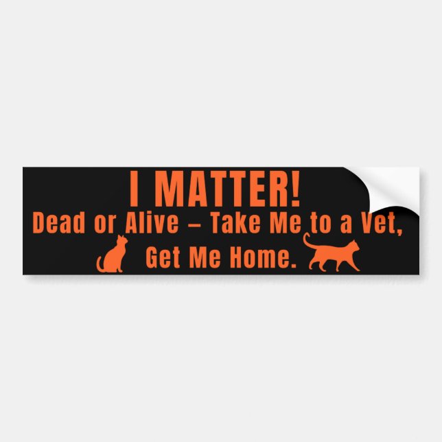 Adesivo Para Carro Neon Orange "I Matter" Bumper Sticker (Frente)