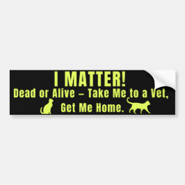 Adesivo Para Carro Neon Yellow "I Matter"
