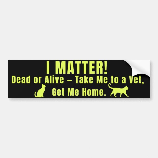 Adesivo Para Carro Neon Yellow "I Matter" (Frente)