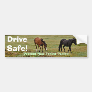 Adesivo Para Carro New Forest Ponies de Hampshire Inglaterra