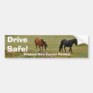 Adesivo Para Carro New Forest Ponies de Hampshire Inglaterra