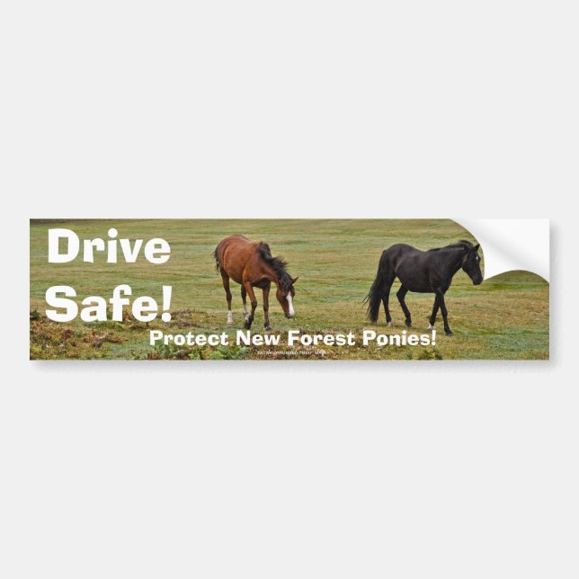 Adesivo Para Carro New Forest Ponies de Hampshire Inglaterra (Frente)