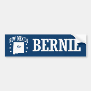 ADESIVO PARA CARRO NEW MEXICO PARA MÁQUINAS DE LIXAR DE BERNIE