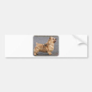 Adesivo Para Carro Norwich Terrier