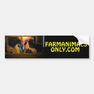 Adesivo Para Carro Nós encontramo-nos em Farmanimalsonly.com