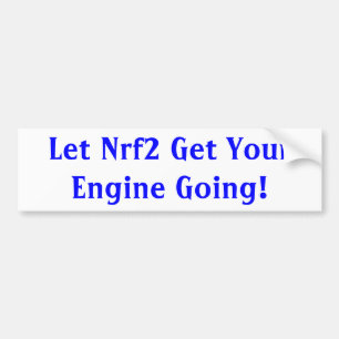 Adesivo Para Carro Nrf2