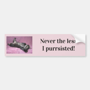 Adesivo Para Carro Nunca menos eu purguei o Bumper Sticker