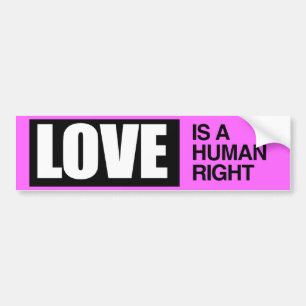 Adesivo Para Carro O AMOR É UM DIREITO HUMANO -.png
