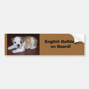 Adesivo Para Carro O conselho de Bulldogon do inglês!
