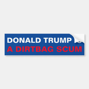 ADESIVO PARA CARRO O DONALD TRUMP É UM ESPAÇO DE SACO