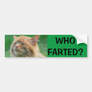 Adesivo Para Carro O gatinho alaranjado pergunta quem Farted?