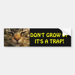 Adesivo Para Carro O gato abundante não cresce acima Meme