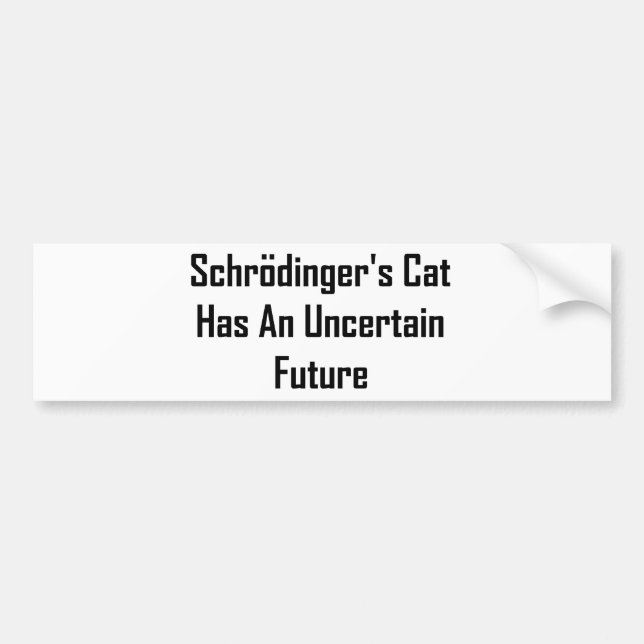 Adesivo Para Carro O gato de Schrodinger tem um futuro incerto (Frente)