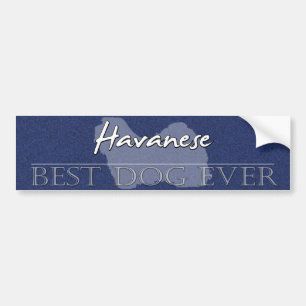 Adesivo Para Carro O melhor autocolante no vidro traseiro de Havanese