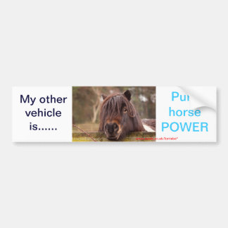 Adesivo Para Carro O meu outro veículo...