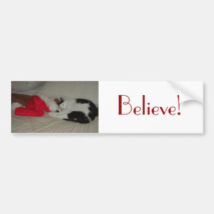 Adesivo Para Carro O Natal Acredita no Kitty Cat