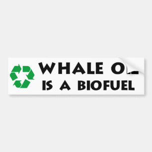 Adesivo Para Carro O óleo de baleia é um combustível biológico