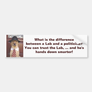 Adesivo Para Carro O que é a diferença entre um laboratório & um