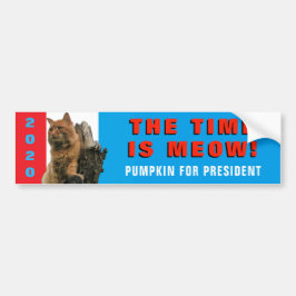 Adesivo Para Carro O Tempo É Miau! Majestoso Abóbora para Presidente