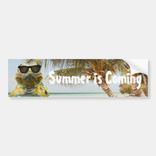 Adesivo Para Carro O verão está chegando