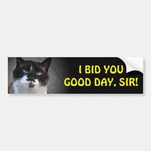Adesivo Para Carro Ofertas do gato do bigode você bom dia, senhor
