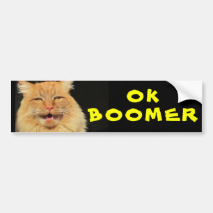 Adesivo Para Carro OK BOOMER Engraçado Cat Meme