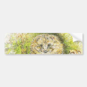 Adesivo Para Carro Old Mr Prickly Pin (Hedgehog) (por Beatrix Potter)