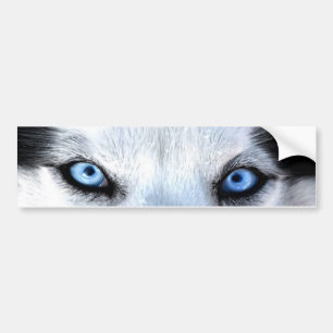 Adesivo Para Carro Olhos azuis siberianos