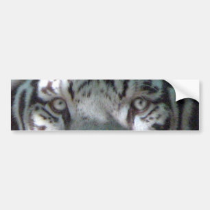 Adesivo Para Carro Olhos brancos do tigre