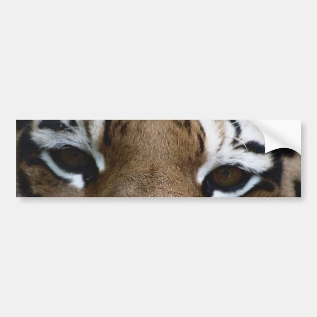 Adesivo Para Carro Olhos do tigre (Frente)