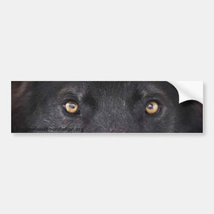 Adesivo Para Carro Olhos pretos do lobo
