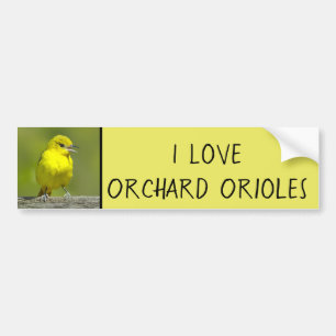 Adesivo Para Carro Orchard Oriole - Fotografia original