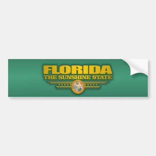 Adesivo Para Carro Orgulho de Florida
