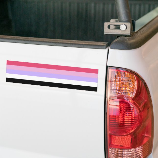 Adesivo Para Carro Orgulho Reciprosexual (No caminhão)