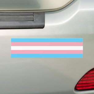 Adesivo Para Carro Orgulho Trans!