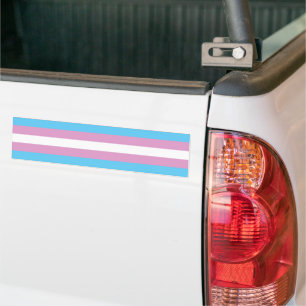 Adesivo Para Carro Orgulho Trans