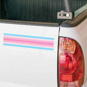 Adesivo Para Carro Orgulho Transfeminino