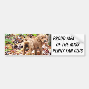 Adesivo Para Carro Orgulhoso membro do clube de fãs da Miss Penny.